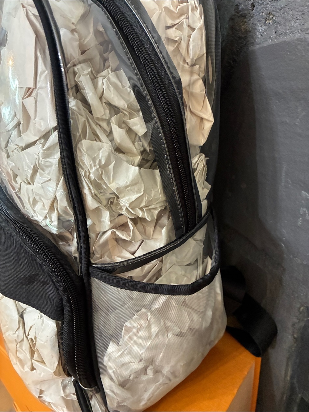 Baggallini Clear Backpack with Black Trim and Silver Accents - Picture 5 of 8